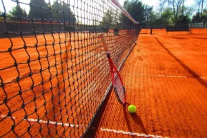 Scopri il mondo del tennis: dalle sue antiche origini alle regole e ai campioni che lo rendono irresistibile. Un viaggio nell'universo di uno sport che conquista tutti.