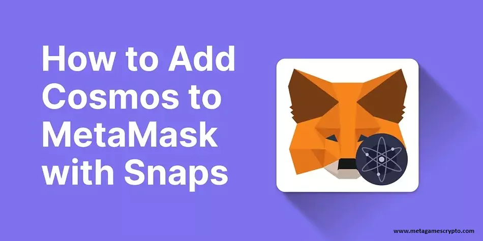 Aggiungi Cosmos a MetaMask con lo Snap Leap Wallet: gestisci asset Cosmos e interagisci con dApp direttamente da MetaMask.